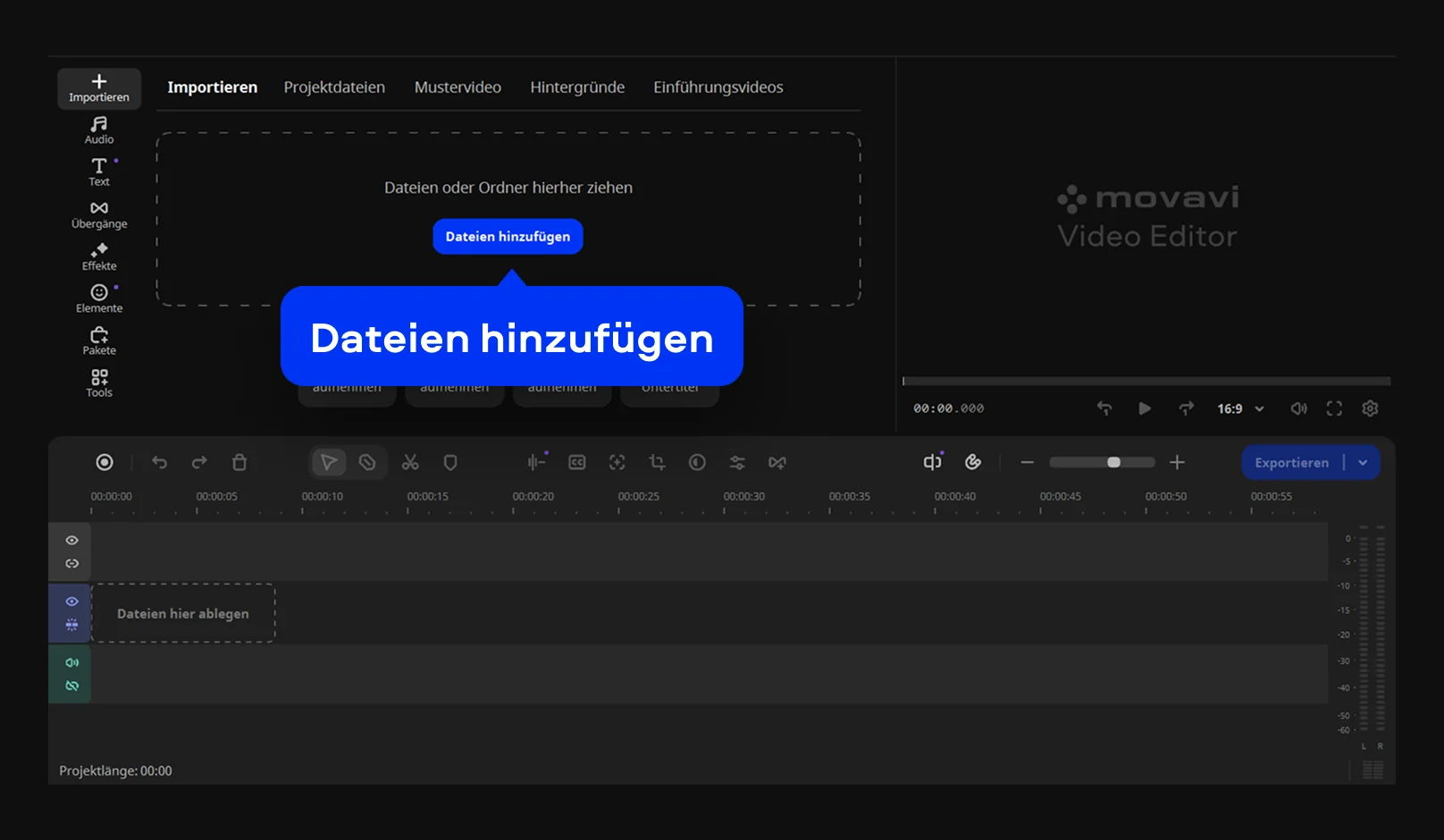 Step 1. Mute video on PC or Mac.